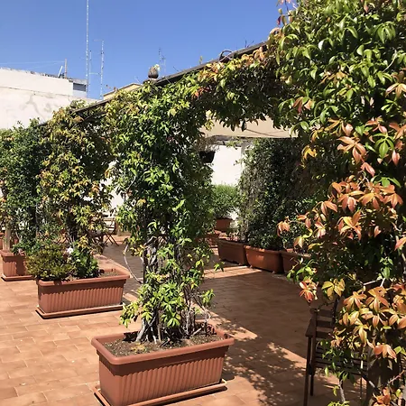 Visa מלון דירות