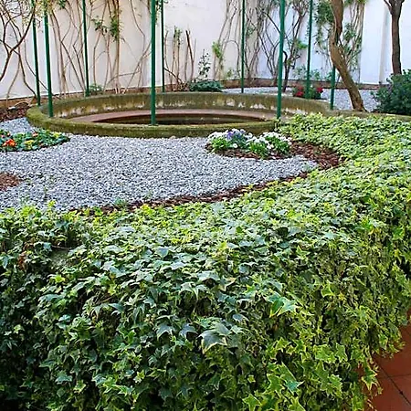 Visa 3* Bari