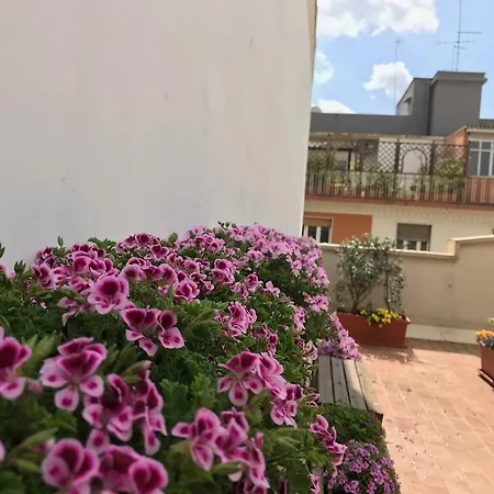 Visa 3* Bari